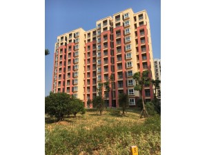 “省標(biāo)化工地”幸福春天15#、18#樓